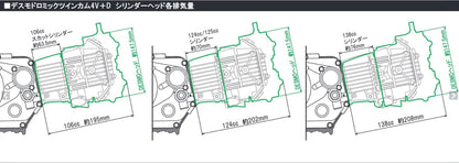 Takegawa DESMODROMIC 4V 138 (TYPE-R, hydraulic dry clutch)