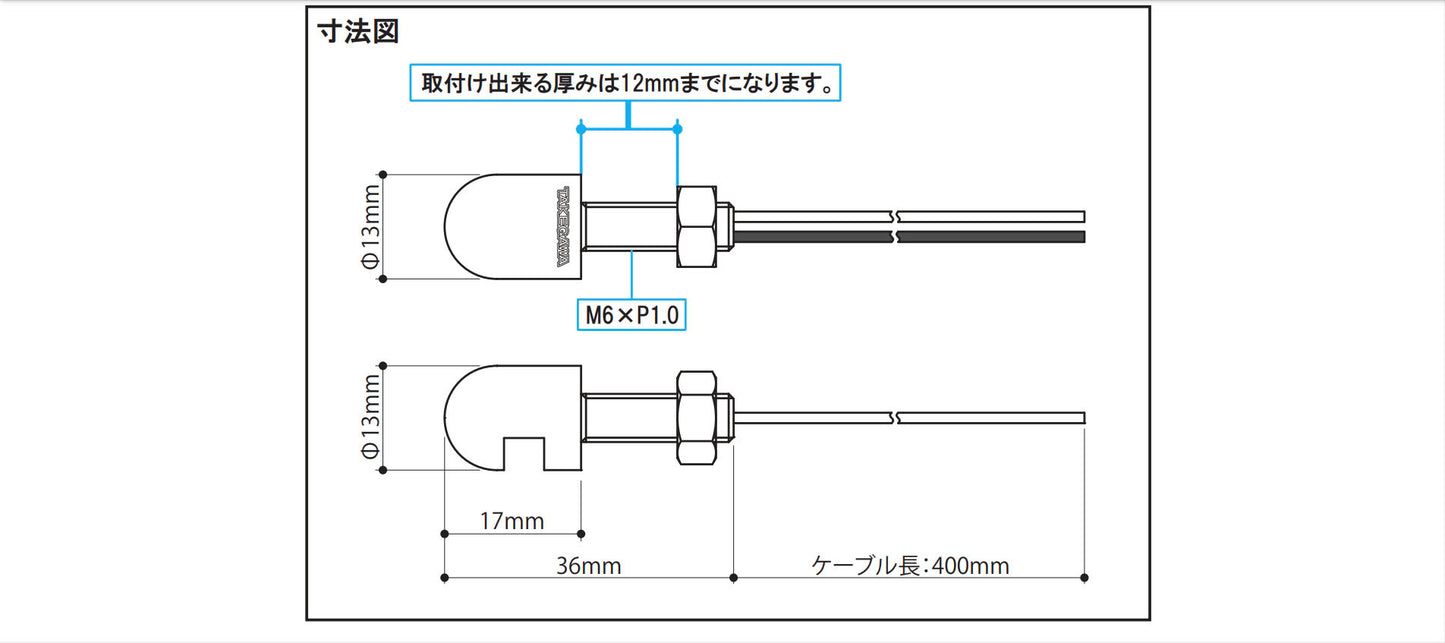 Takegawa LED lighting bolt (M6x1.0; 19mm)