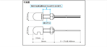 Takegawa LED lighting bolt (M6x1.0; 19mm)